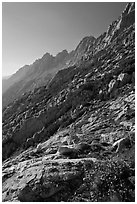 Shepherd Crest, late afternoon. Yosemite National Park, California, USA. (black and white)