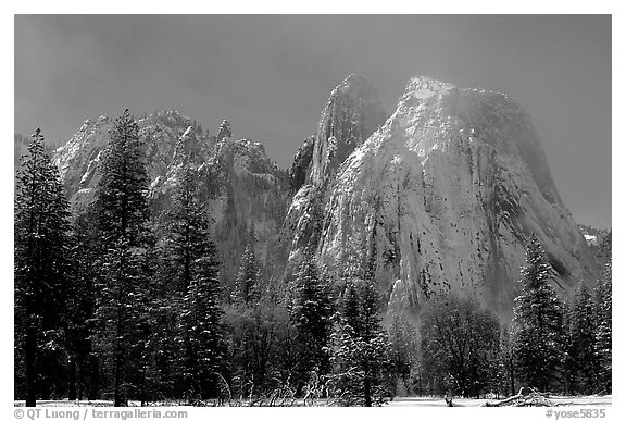 Cathedral rocks after a snow storm, morning. Yosemite National Park (black and white)