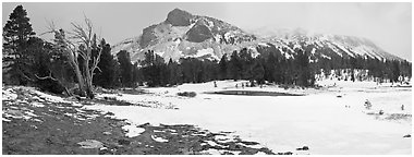 Tioga Pass, peaks and snow-covered meadow. Yosemite National Park, California, USA. (black and white)