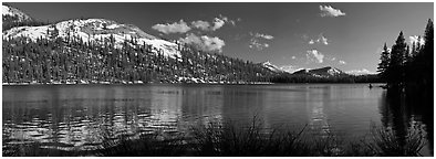 Tioga Lake and peak in early spring. Yosemite National Park (Panoramic black and white)