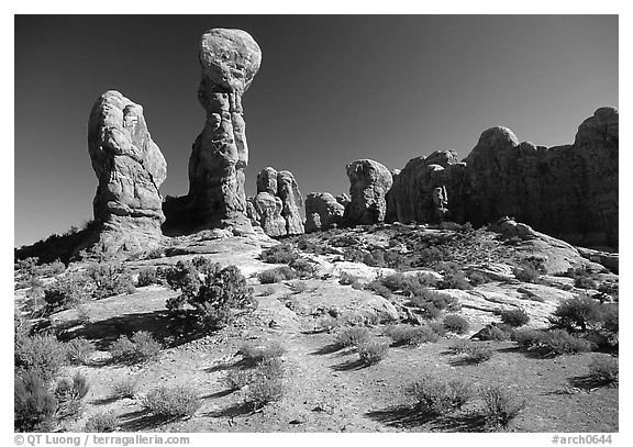 Garden of  Eden, a cluster of pinnacles and monoliths. Arches National Park (black and white)