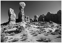 Garden of  Eden, a cluster of pinnacles and monoliths. Arches National Park, Utah, USA. (black and white)