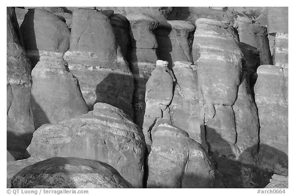 Sandstone fins at Fiery Furnace, sunset. Arches National Park (black and white)