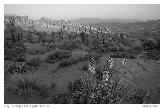 Fiery Furnace, and La Sal Mountains, dusk. Arches National Park (black and white)