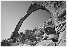 Landscape Arch, morning. Arches National Park, Utah, USA. (black and white)
