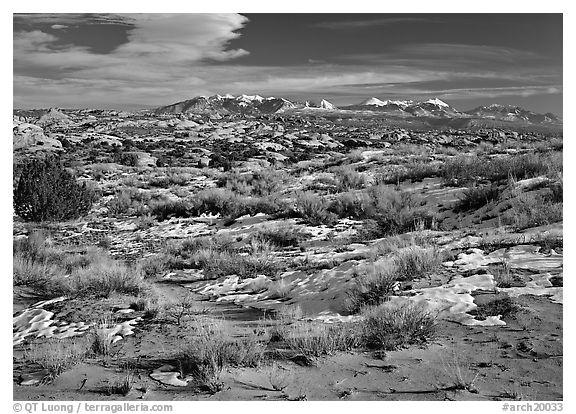 Petrified dunes, ancient dunes turned to slickrock, and La Sal mountains, winter afternoon. Arches National Park (black and white)