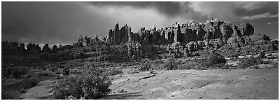 Sandstone pinnacles, Klondike Bluffs. Arches National Park (Panoramic black and white)