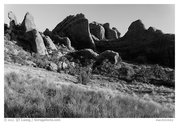 Fins in Devils Garden. Arches National Park (black and white)