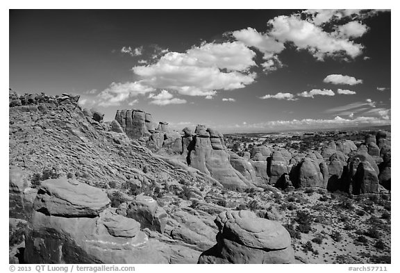 Entrada sandstone fins. Arches National Park (black and white)