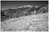 Meadow and distant peak, Mesa inclinado, North rim. Black Canyon of the Gunnison National Park, Colorado, USA. (black and white)