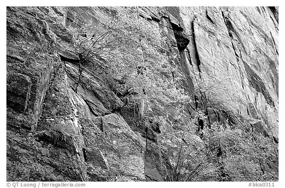 Side canyon wall, Long Draw. Black Canyon of the Gunnison National Park (black and white)
