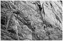 Side canyon wall. Black Canyon of the Gunnison National Park, Colorado, USA. (black and white)