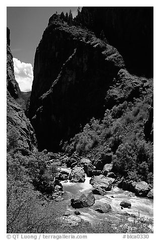 Gunisson river near the Narrows. Black Canyon of the Gunnison National Park (black and white)