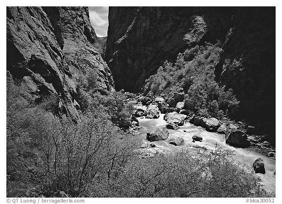 Gunisson River in narrow gorge in spring. Black Canyon of the Gunnison National Park (black and white)