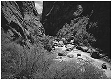 Gunisson River in narrow gorge in spring. Black Canyon of the Gunnison National Park, Colorado, USA. (black and white)