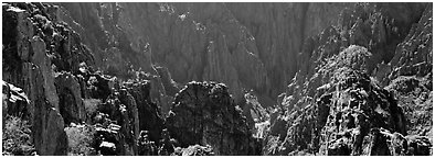 Spires inside canyon. Black Canyon of the Gunnison National Park (Panoramic black and white)