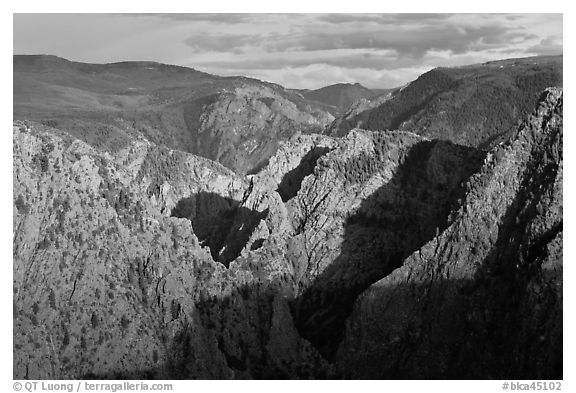 Canyon view from Tomichi Point. Black Canyon of the Gunnison National Park (black and white)