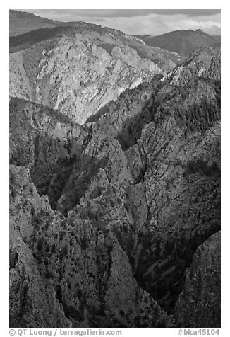 Tomichi Point view, late afternoon. Black Canyon of the Gunnison National Park (black and white)