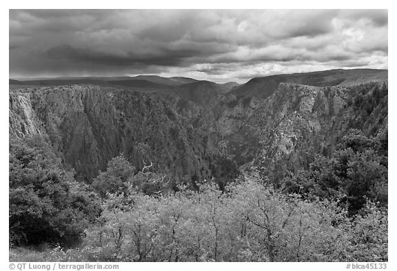 Approaching storm, Tomichi Point. Black Canyon of the Gunnison National Park (black and white)