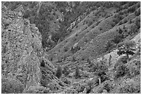 East Portal in spring. Black Canyon of the Gunnison National Park, Colorado, USA. (black and white)