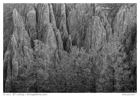 Pegmatite dikes. Black Canyon of the Gunnison National Park (black and white)