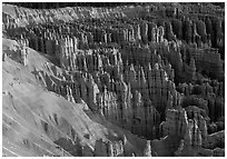 Silent City dense cluster of hoodoos from Bryce Point, sunrise. Bryce Canyon National Park, Utah, USA. (black and white)