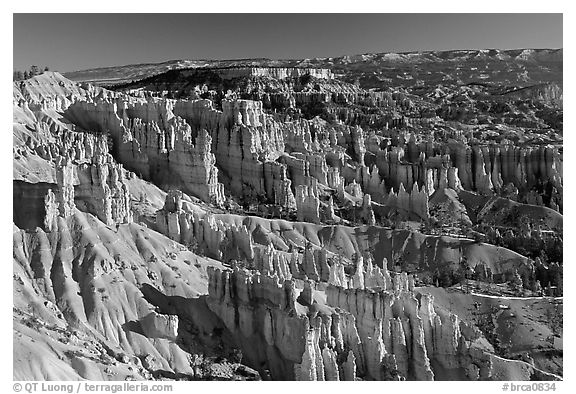 Queen's Garden from Sunset Point, morning. Bryce Canyon National Park (black and white)