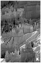 Snowy ridges and hoodoos, Bryce Amphitheater, early morning. Bryce Canyon National Park, Utah, USA. (black and white)