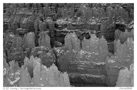 Glowing Hoodoos from Sunset Point, afternoon. Bryce Canyon National Park (black and white)
