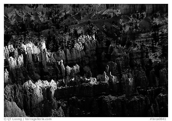 Light and shadows, from Sunset Point, late afternoon. Bryce Canyon National Park (black and white)