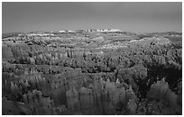 Bryce Amphitheater from Sunset Point, dusk. Bryce Canyon National Park (black and white)