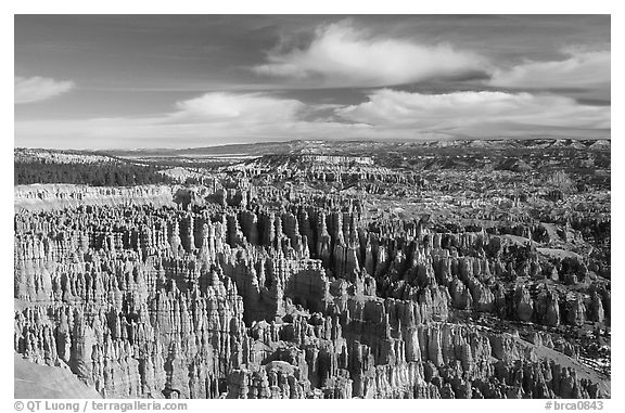 Silent City in Bryce Amphitheater from Bryce Point, morning. Bryce Canyon National Park (black and white)
