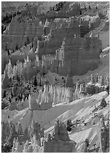 Hoodoos and snow from Sunrise Point, winter sunrise. Bryce Canyon National Park, Utah, USA. (black and white)