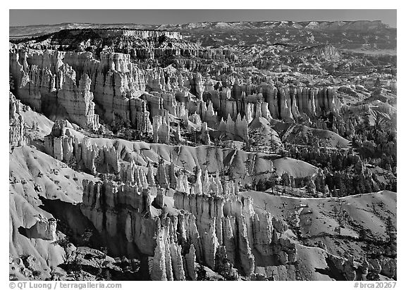 View of Queens Garden spires from Sunset Point, morning. Bryce Canyon National Park (black and white)