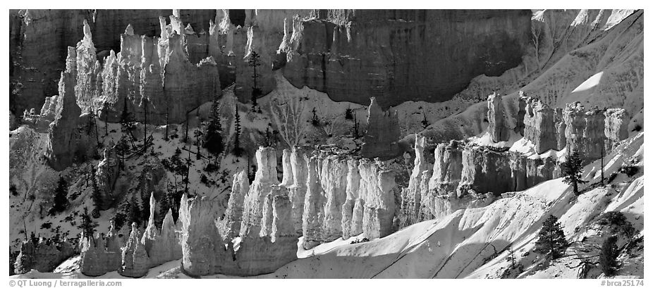 Hoodoos and snowy slopes, early morning. Bryce Canyon National Park (black and white)