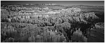 Innumerable brighly colored free-standing hoodoos aligned in amphiteater. Bryce Canyon National Park (Panoramic black and white)