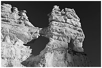 Hoodoos and windows. Bryce Canyon National Park ( black and white)