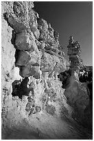 Pink limestone hoodoos, Water Canyon. Bryce Canyon National Park, Utah, USA. (black and white)