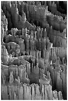 Easily eroded and soft limestone hoodoos. Bryce Canyon National Park, Utah, USA. (black and white)