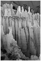 Pink Member of the Claron Formation. Bryce Canyon National Park, Utah, USA. (black and white)