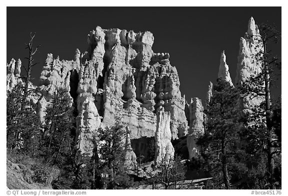 Hoodoos capped with magnesium-rich limestone. Bryce Canyon National Park, Utah, USA.