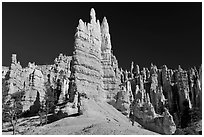 Hoodoos seen from the base. Bryce Canyon National Park, Utah, USA. (black and white)