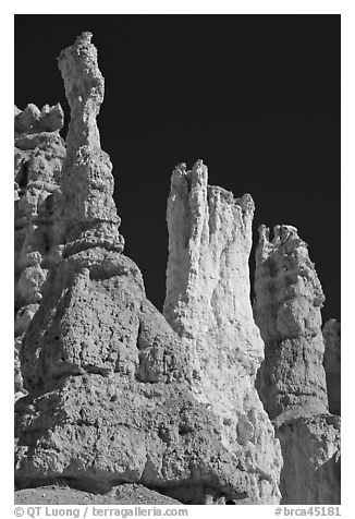 Hoodoos subject to chemical weathering by carbonic acid. Bryce Canyon National Park (black and white)