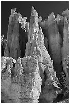 Weathered Claron formation limestone. Bryce Canyon National Park, Utah, USA. (black and white)