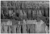 Rows of hoodoos. Bryce Canyon National Park, Utah, USA. (black and white)