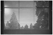 Fir trees, Visitor Center window reflexion. Bryce Canyon National Park, Utah, USA. (black and white)