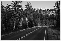 Park road. Bryce Canyon National Park ( black and white)