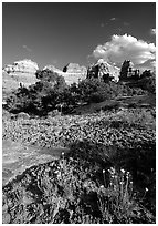 Wildflowers and sandstone towers near Elephant Hill, the Needles, late afternoon. Canyonlands National Park, Utah, USA. (black and white)
