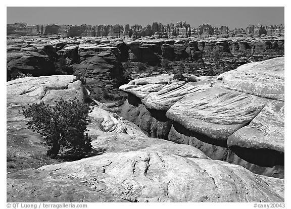 Crack and rock needles near Elephant Hill, mid-day, Needles District. Canyonlands National Park, Utah, USA.