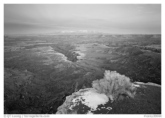 Gorge and plateau at sunset, Island in the Sky. Canyonlands National Park (black and white)